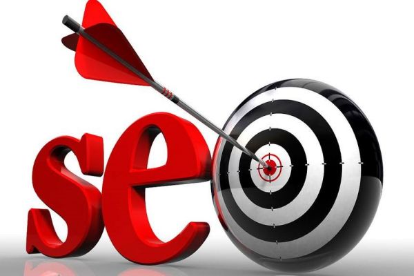 宁德网站优化服务成功案例推荐，获得想法与经验